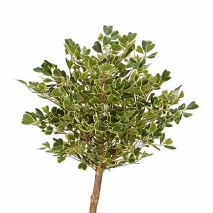 Artificial plant Ficus Green