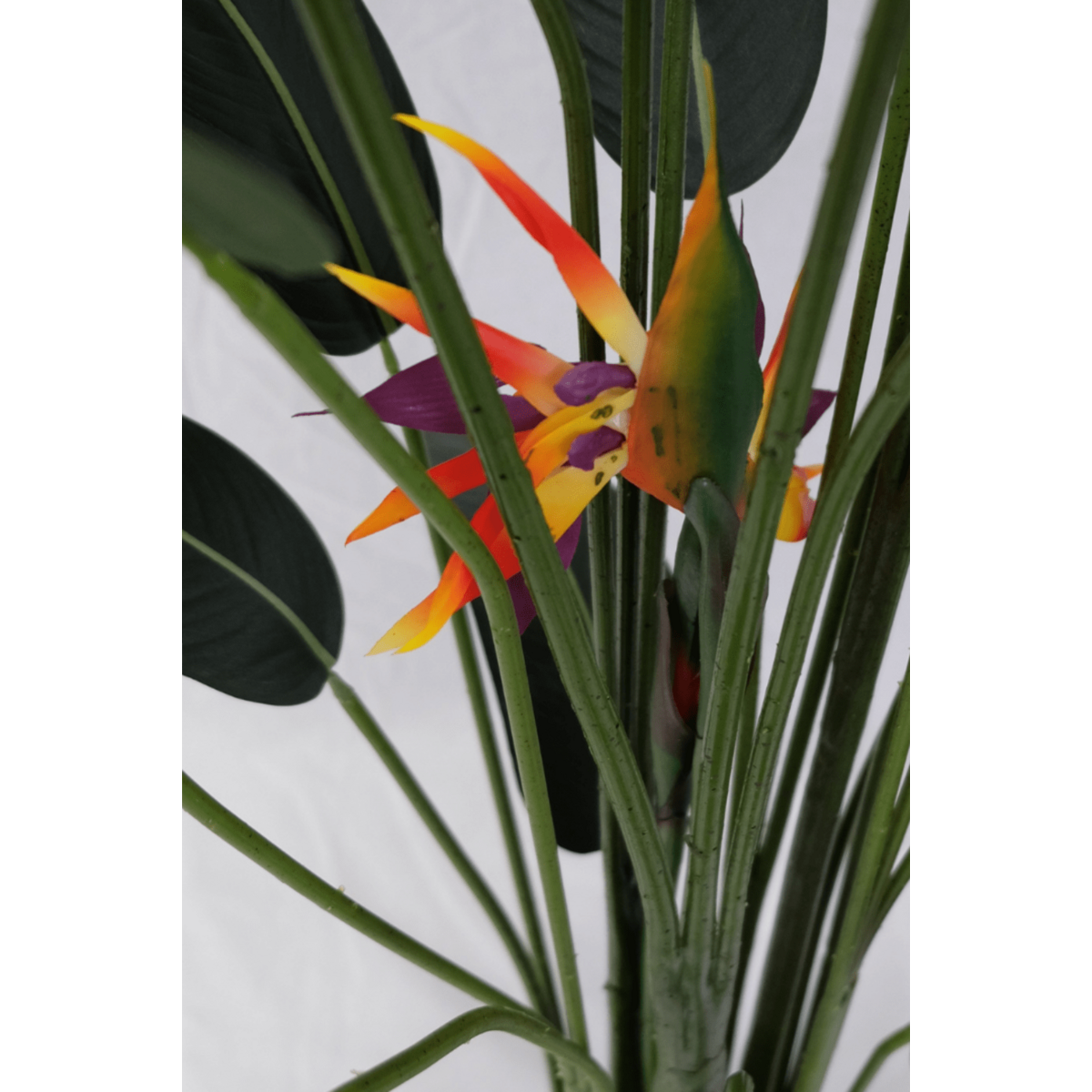 Artificial Strelitzia Plant With Flower 160cm