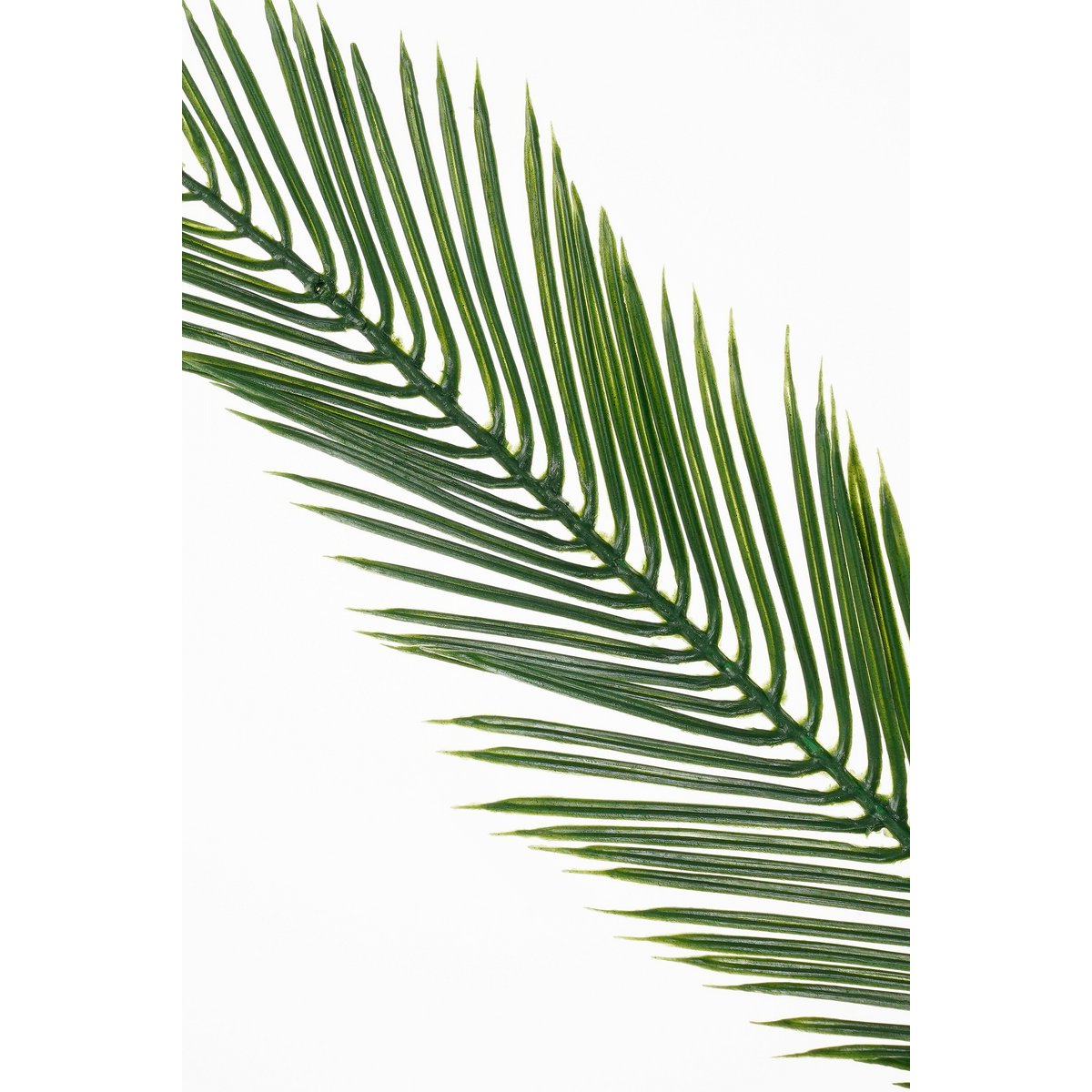 Artificial plant Cycas green
