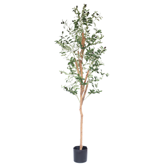 Artificial Olive Tree 170cm