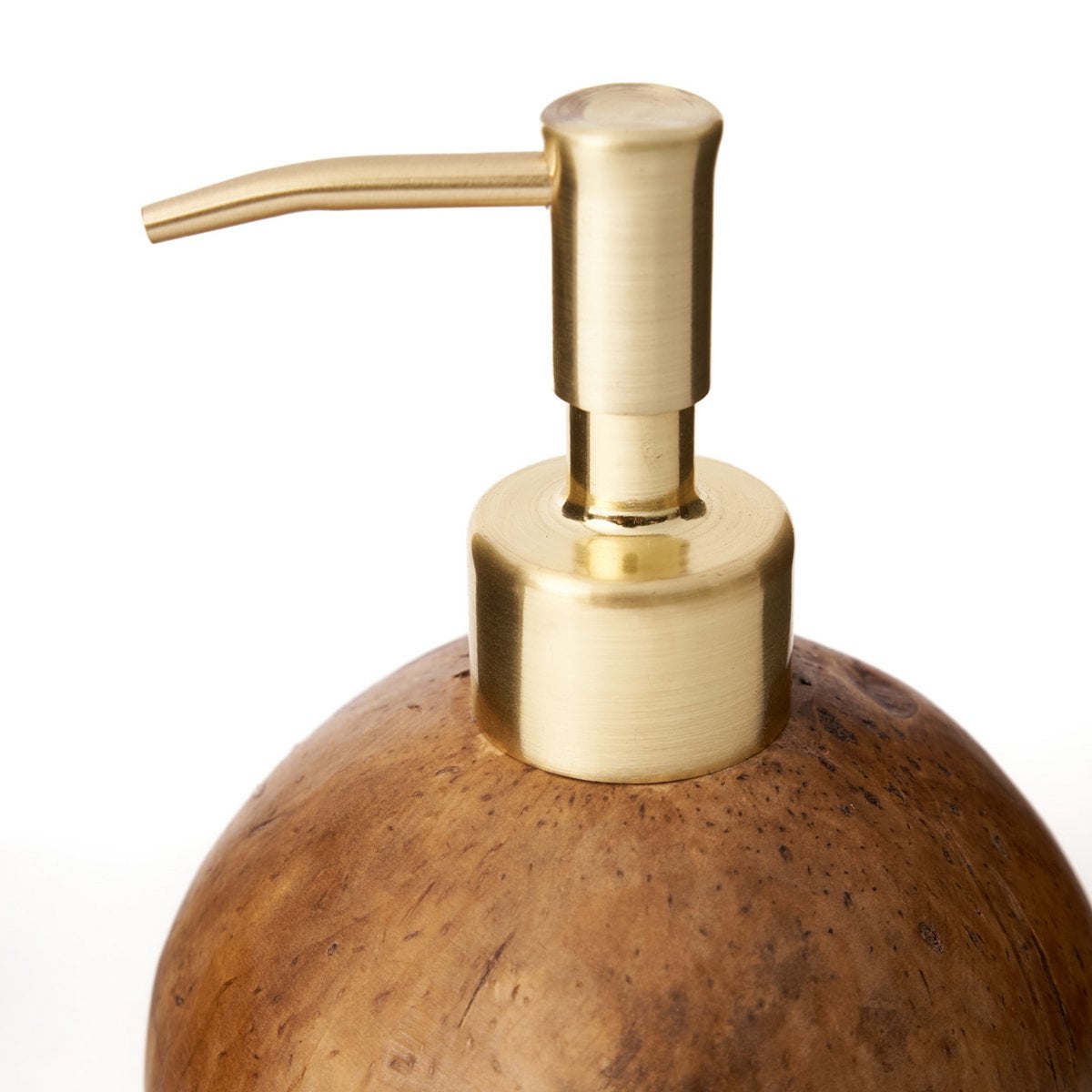 The Coconut Soap Dispenser