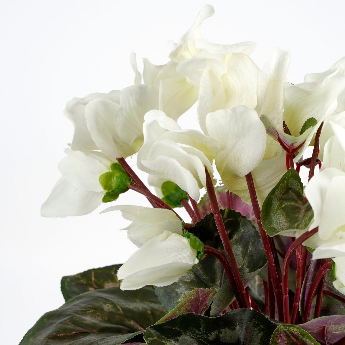 Artificial plant Cyclamen White