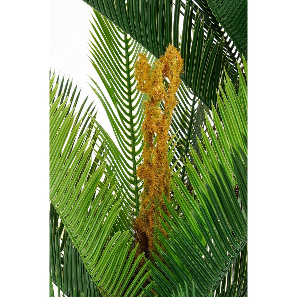 Artificial plant Cycas green