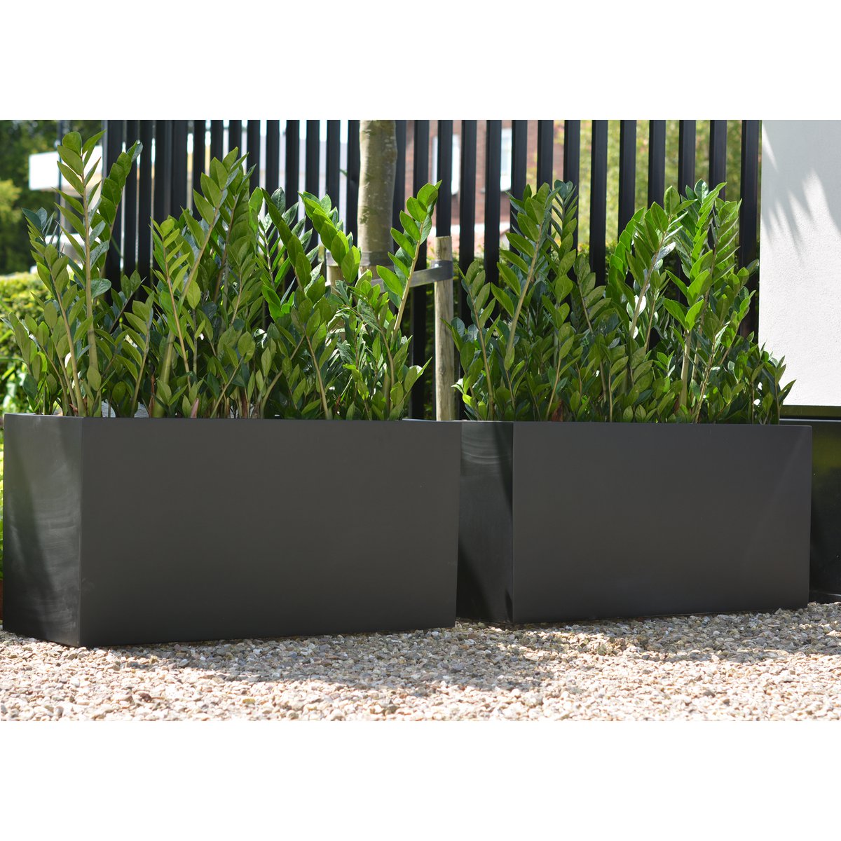 Planning box - Indiana Black