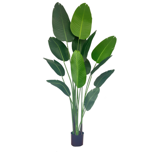 Artificial Strelitzia Plant 180cm