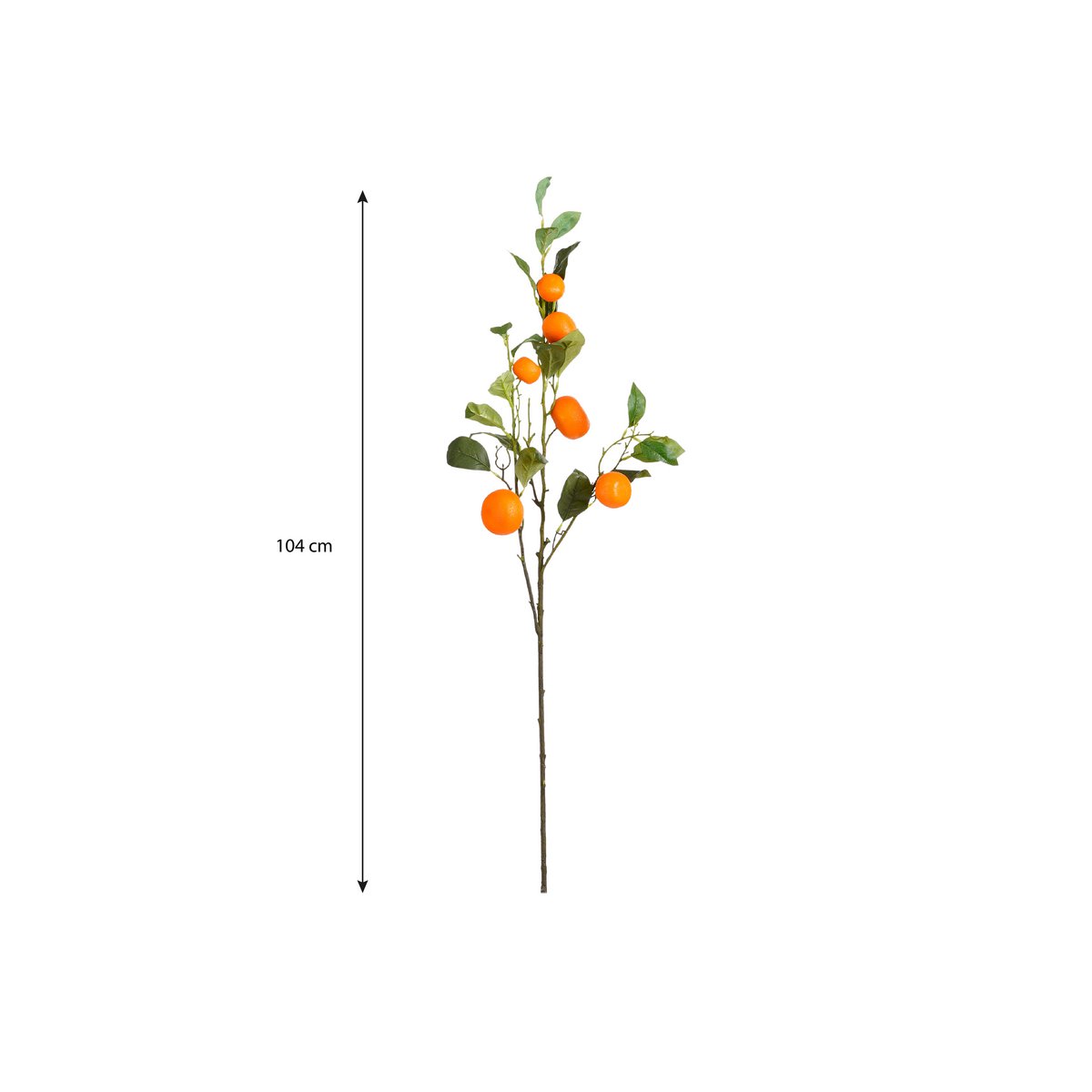 Art branch Orange