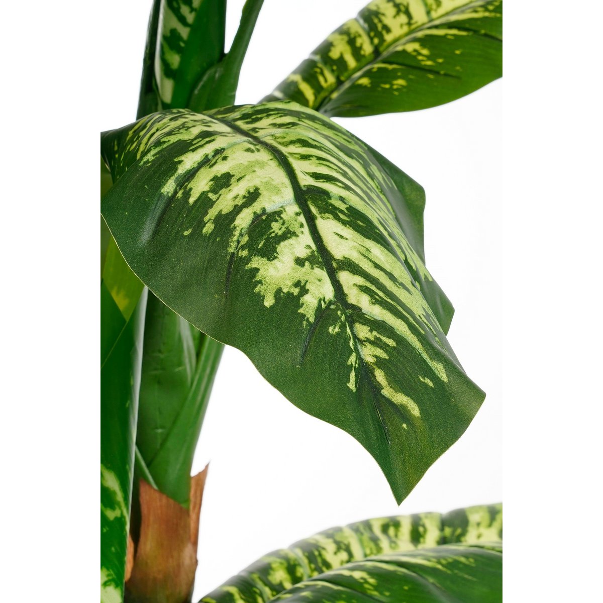 Artificial plant Dieffenbachia Green