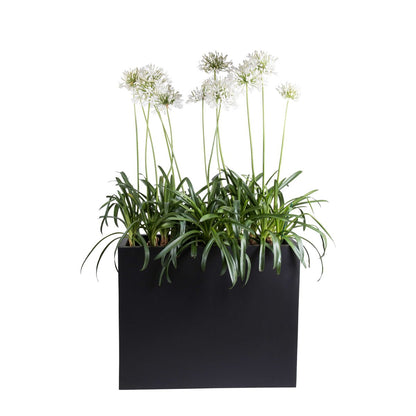 Planning box - Indiana XL on Wheels L100xb40xH80