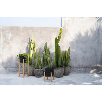 The Charcoal High - Black Natural - L