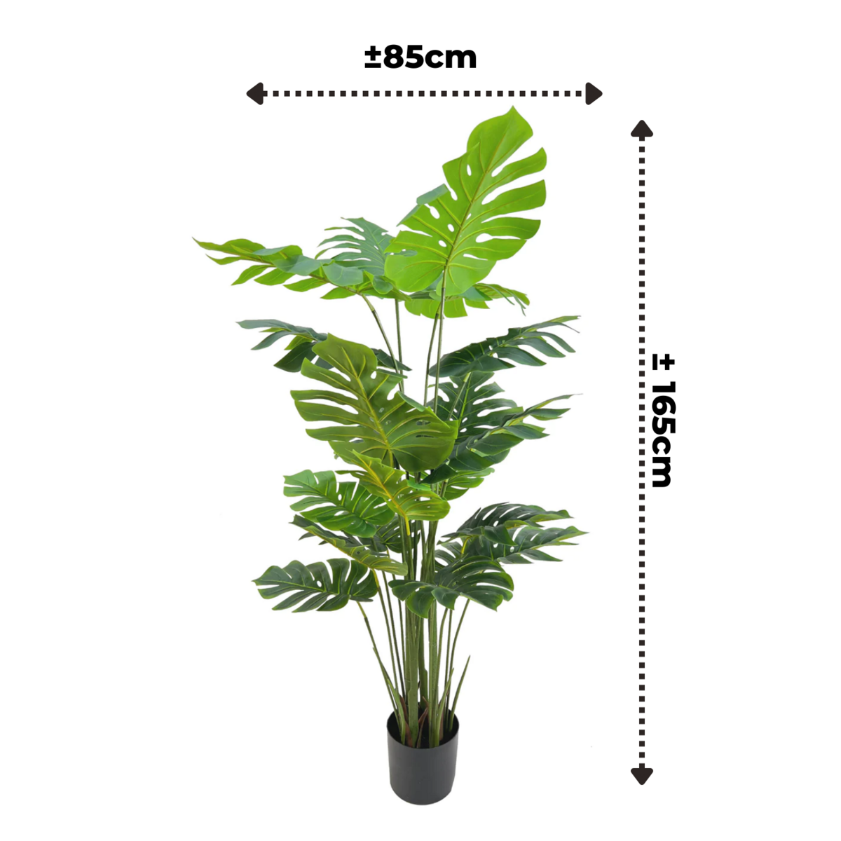 Monstera Artificial plant 165cm