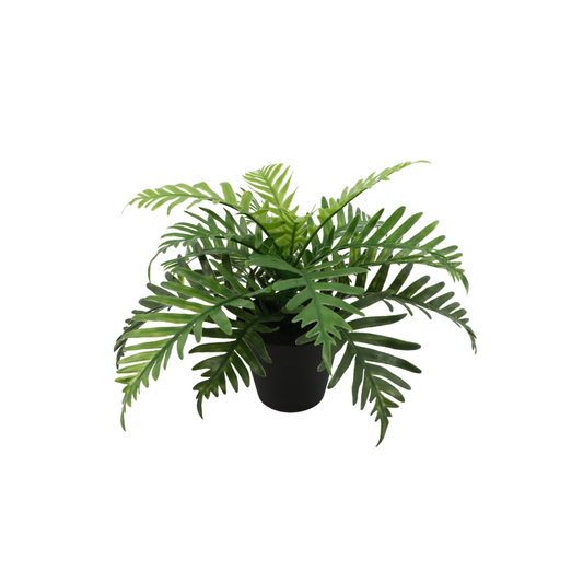 Pteris Artificial plant 20cm