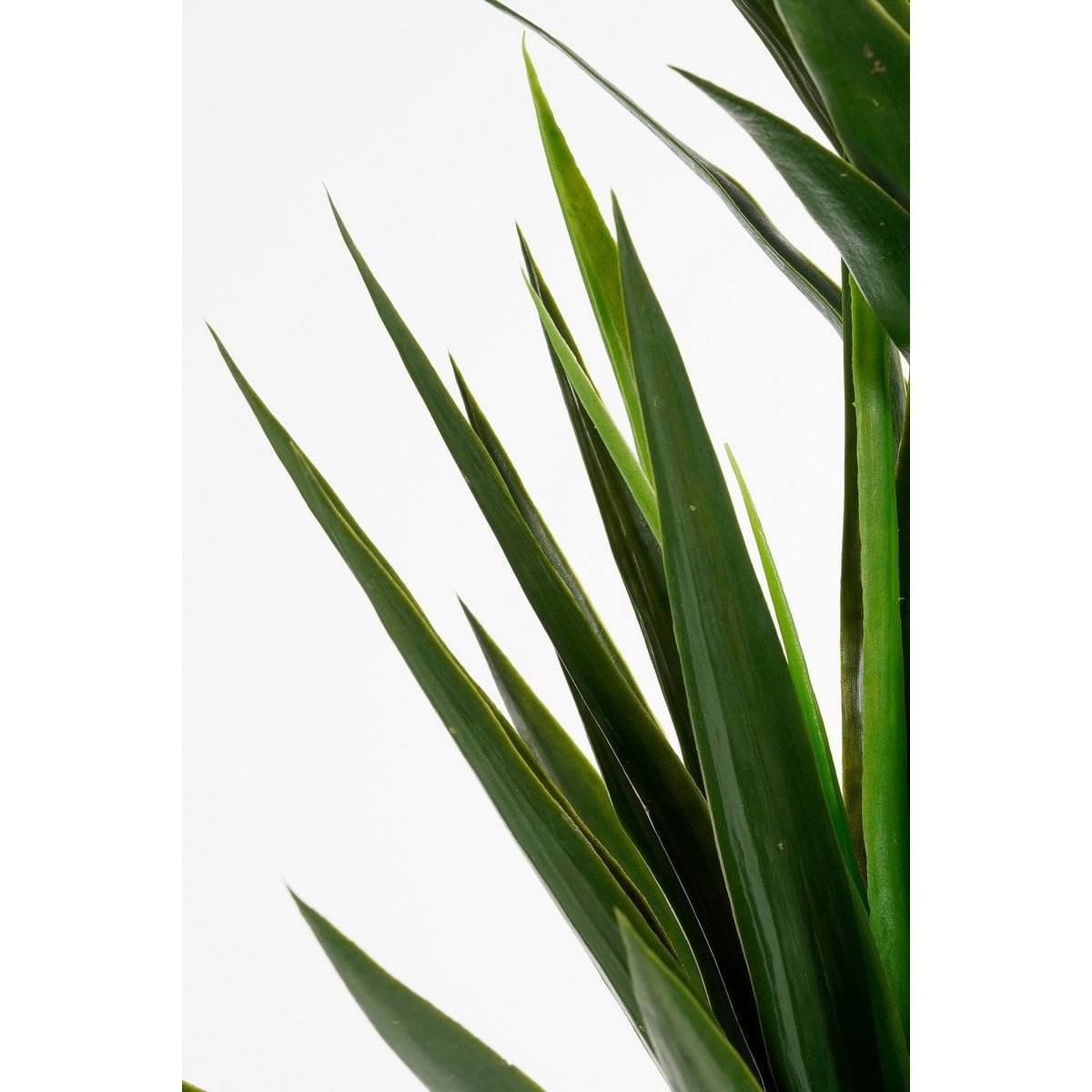 Kunstplant Yucca Cream