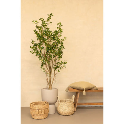 Ficus Artificial plant 180cm