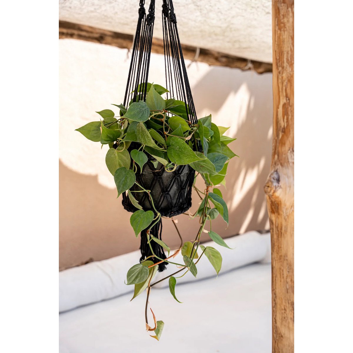 The Macrame Plant Holder - Black - L