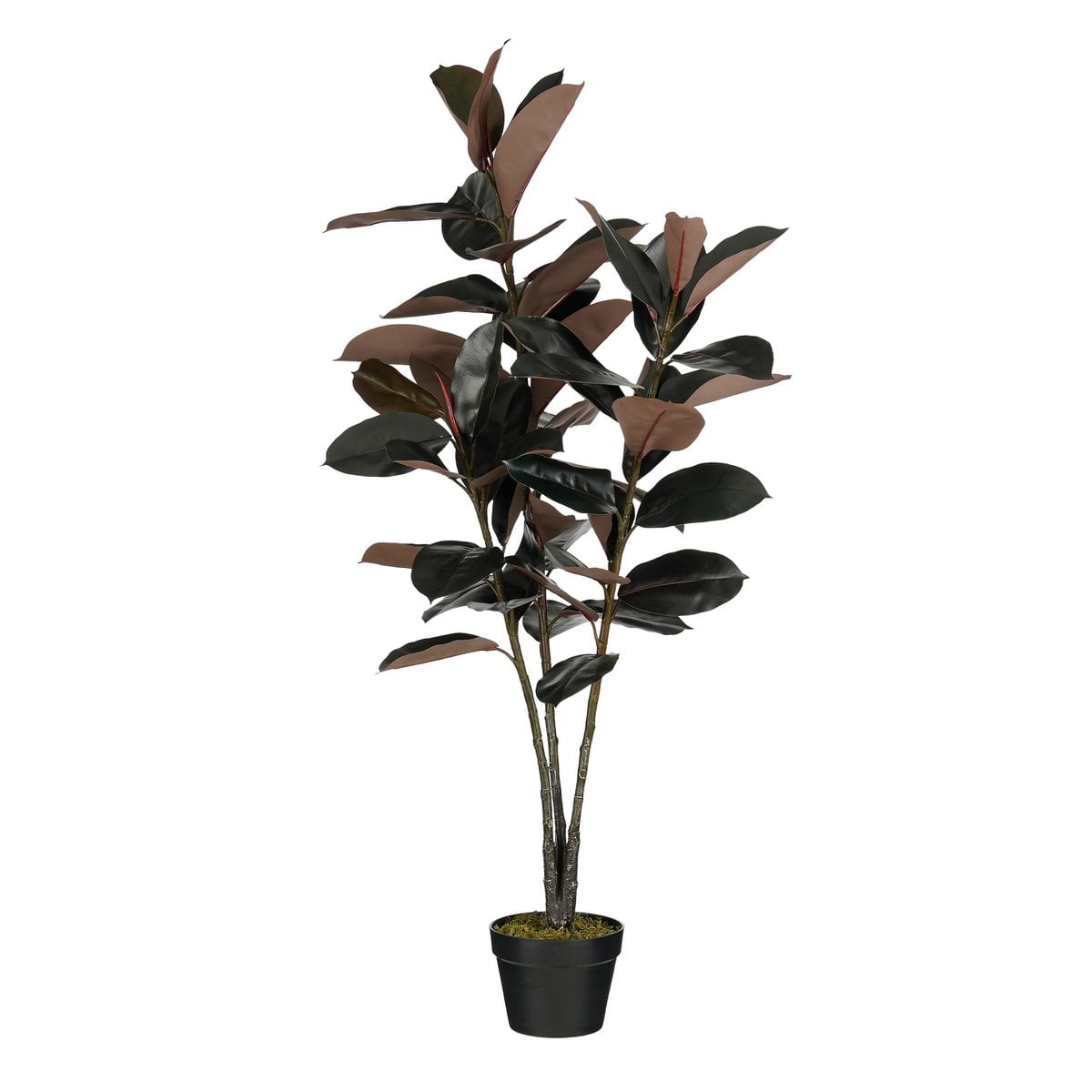 Artificial plant Rubber plant Red