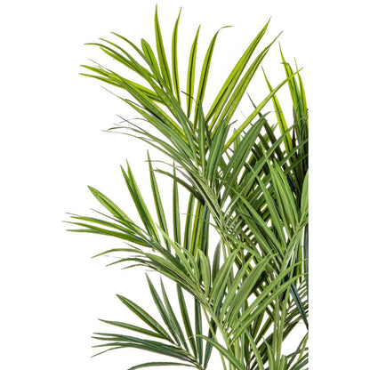 Kentia Artificial Palm 180cm