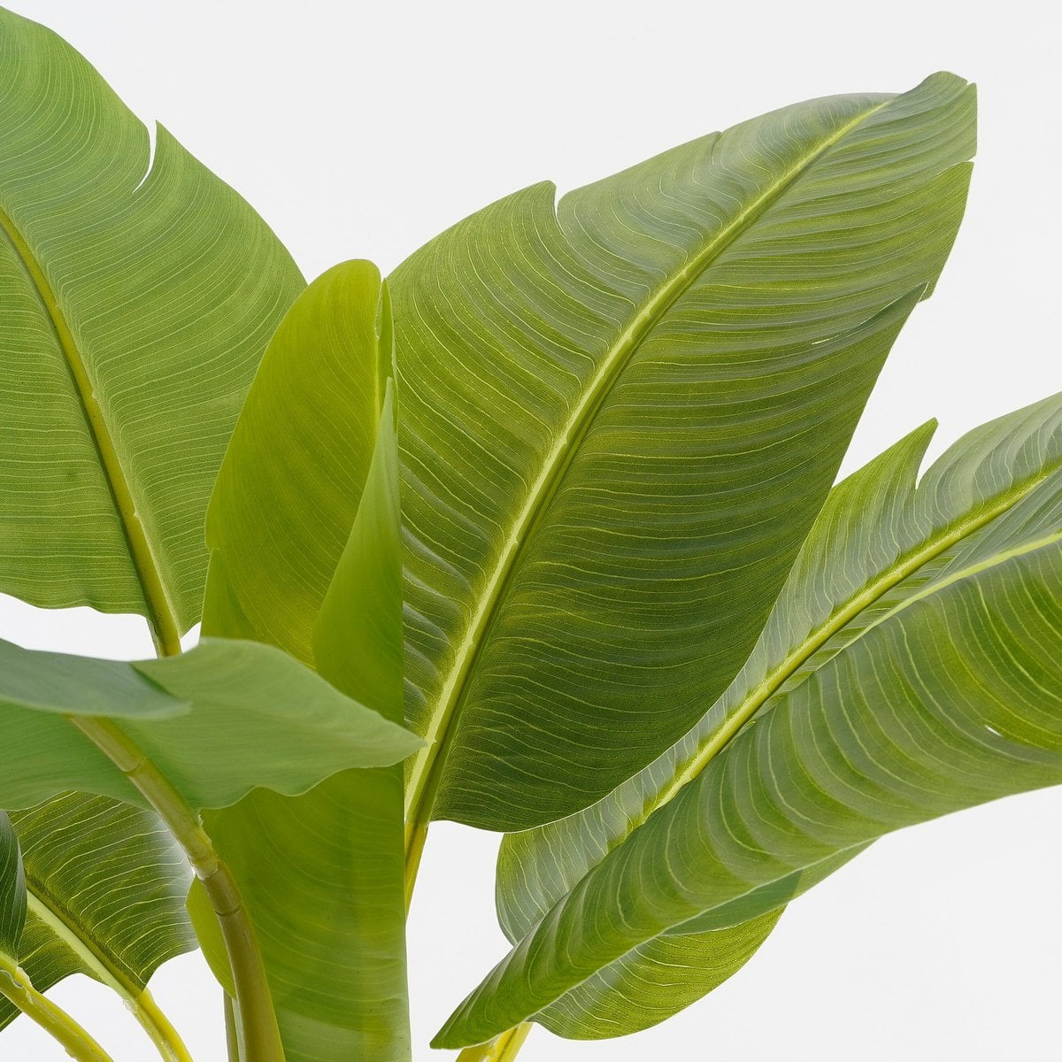 Artificial plant Green