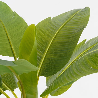 Artificial plant Green