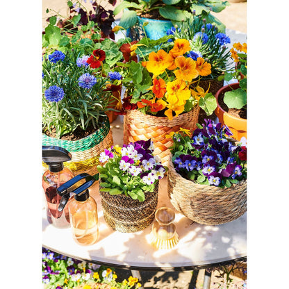 Plant basket Jorck Light brown