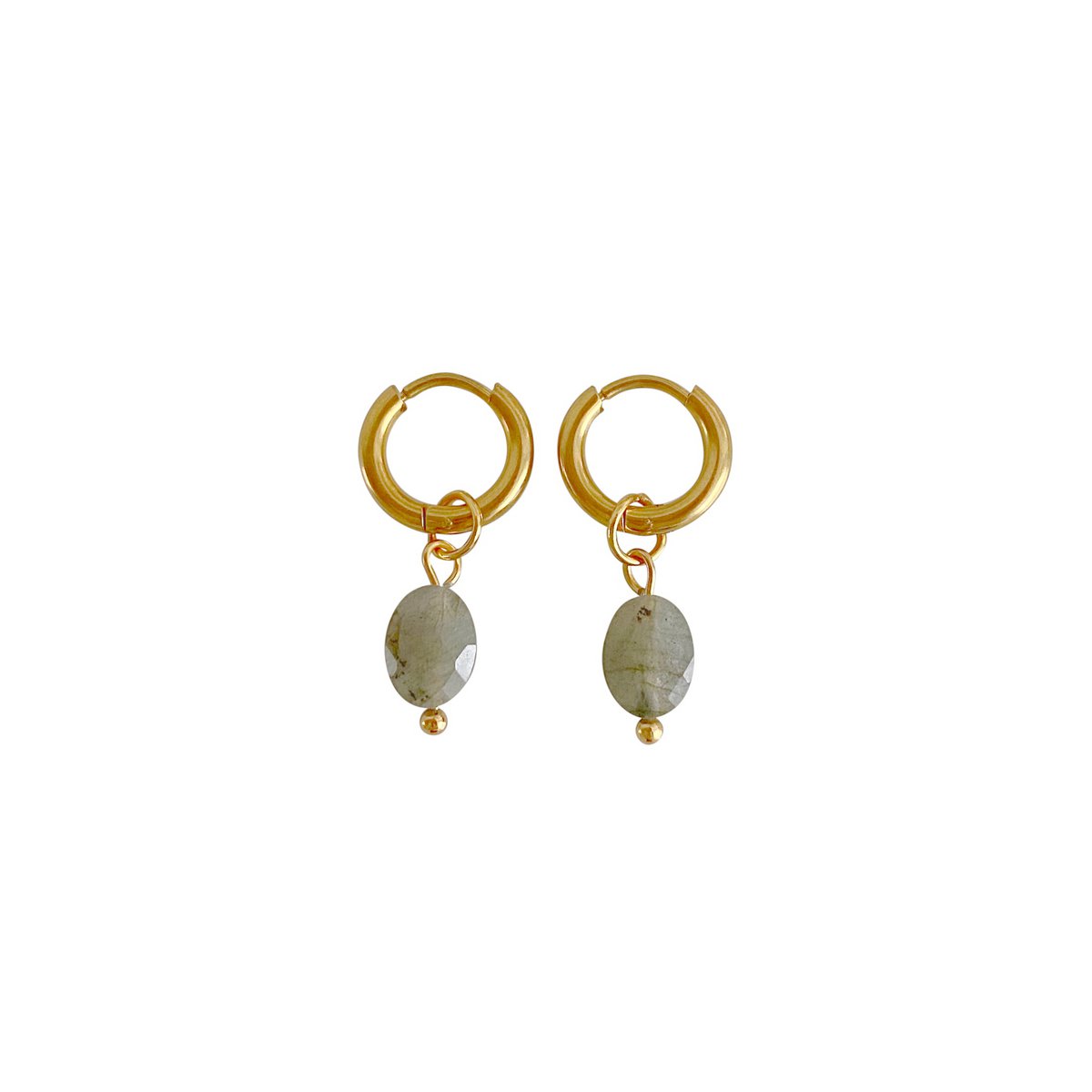 Labradorite Faceted Earrings - Gold