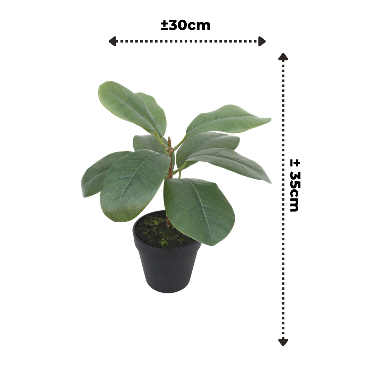 Ficus Artificial plant 35cm