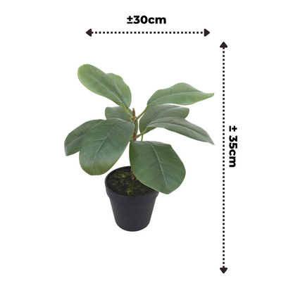 Ficus Artificial plant 35cm