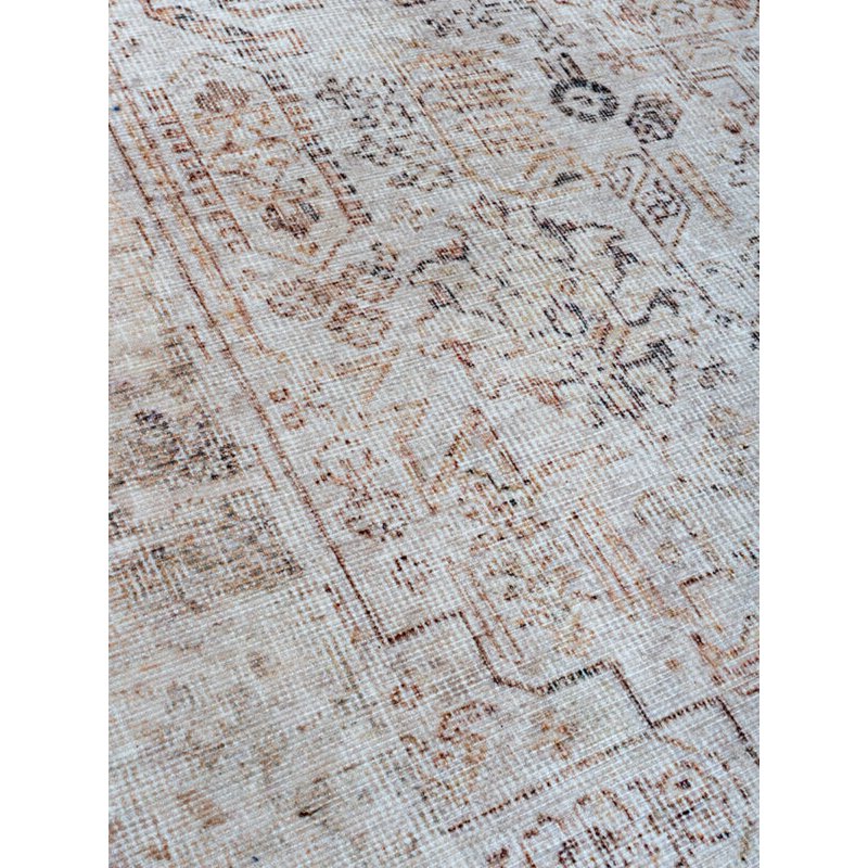 Rug Shirva 200 x 290 cm
