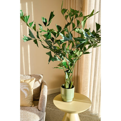 Artificial Plant Fishtail Green