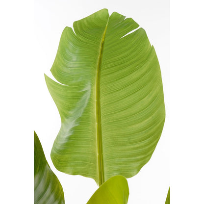 Artificial plant Green