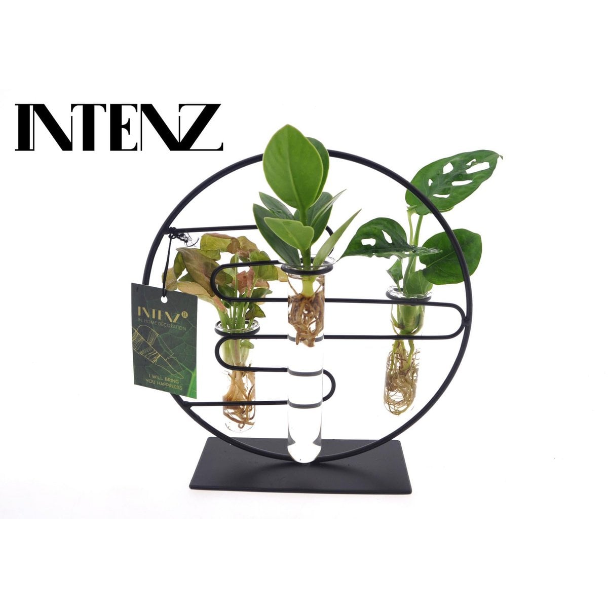 Camerated Intenz Mix in Dubai 2.0 glass - Ø12cm - ↕25cm