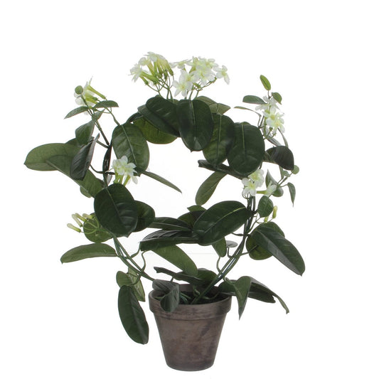 Kunstplant Stephanotis Wit