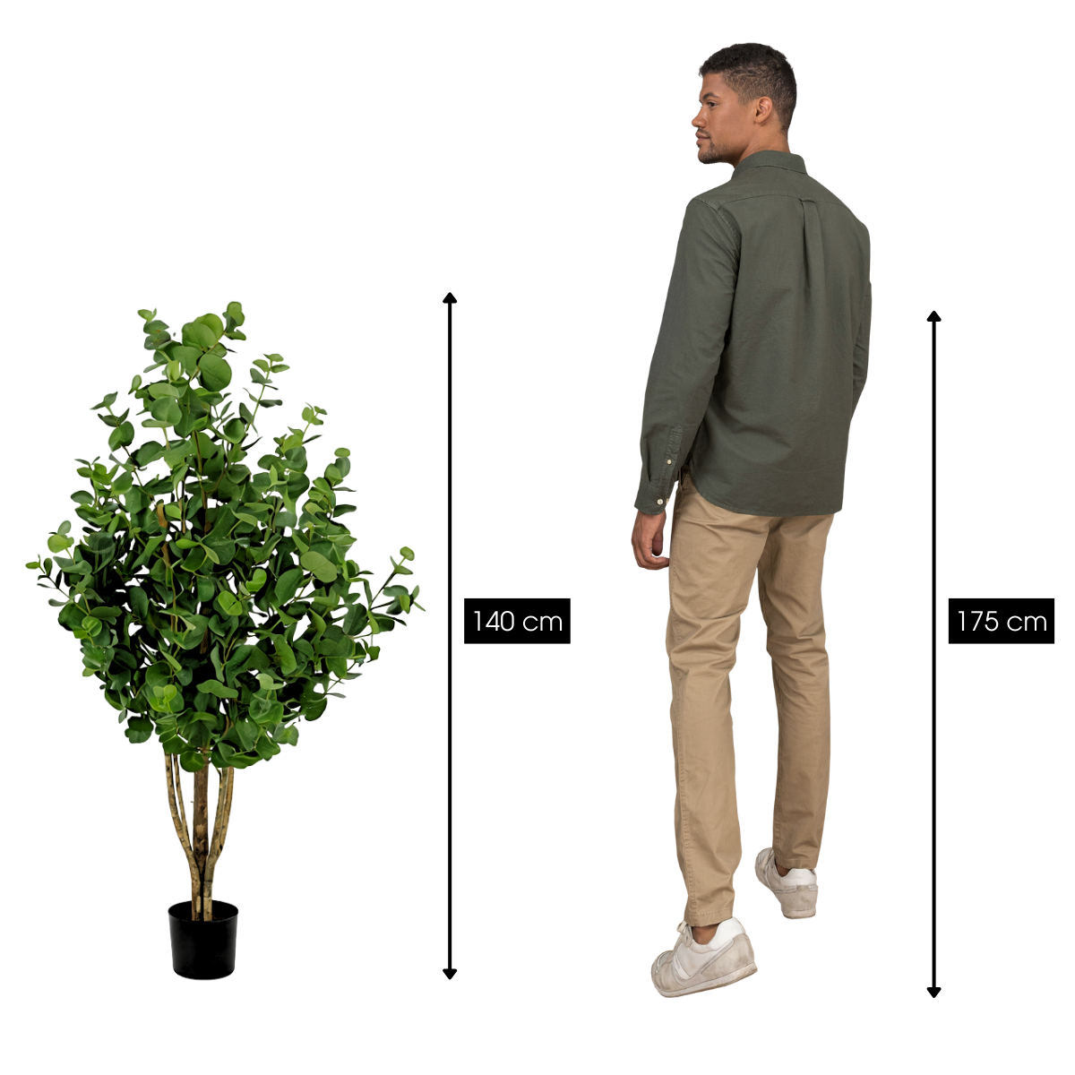 Artificial plant Eucalyptus tree Green