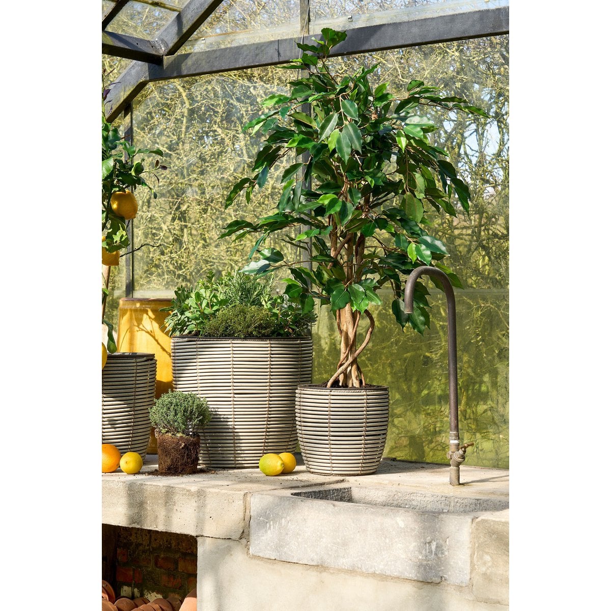 Artificial plant Ficus Green