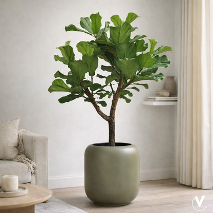 Plantenpot - Lampang pebble grey