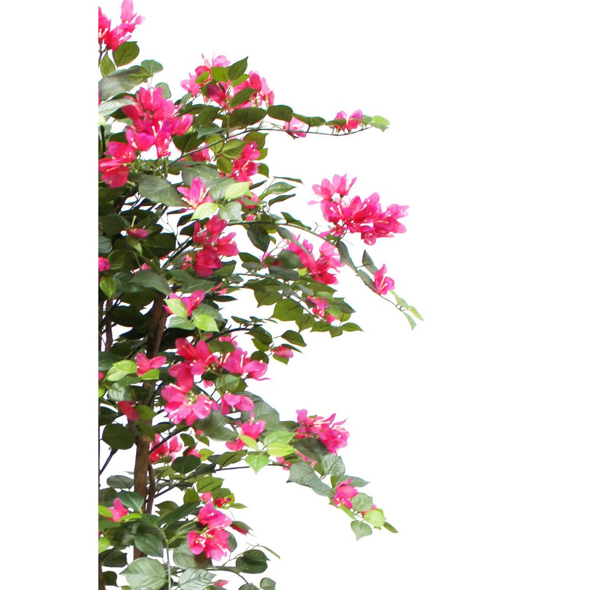 Bougainvillea Artificial plant 150cm