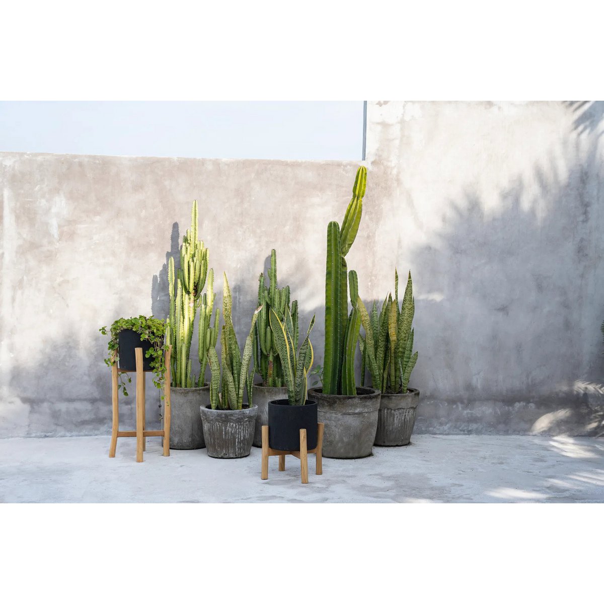 The Charcoal Low - Black Natural - S