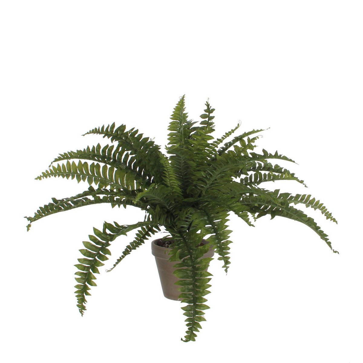 Artificial plant Fern Green