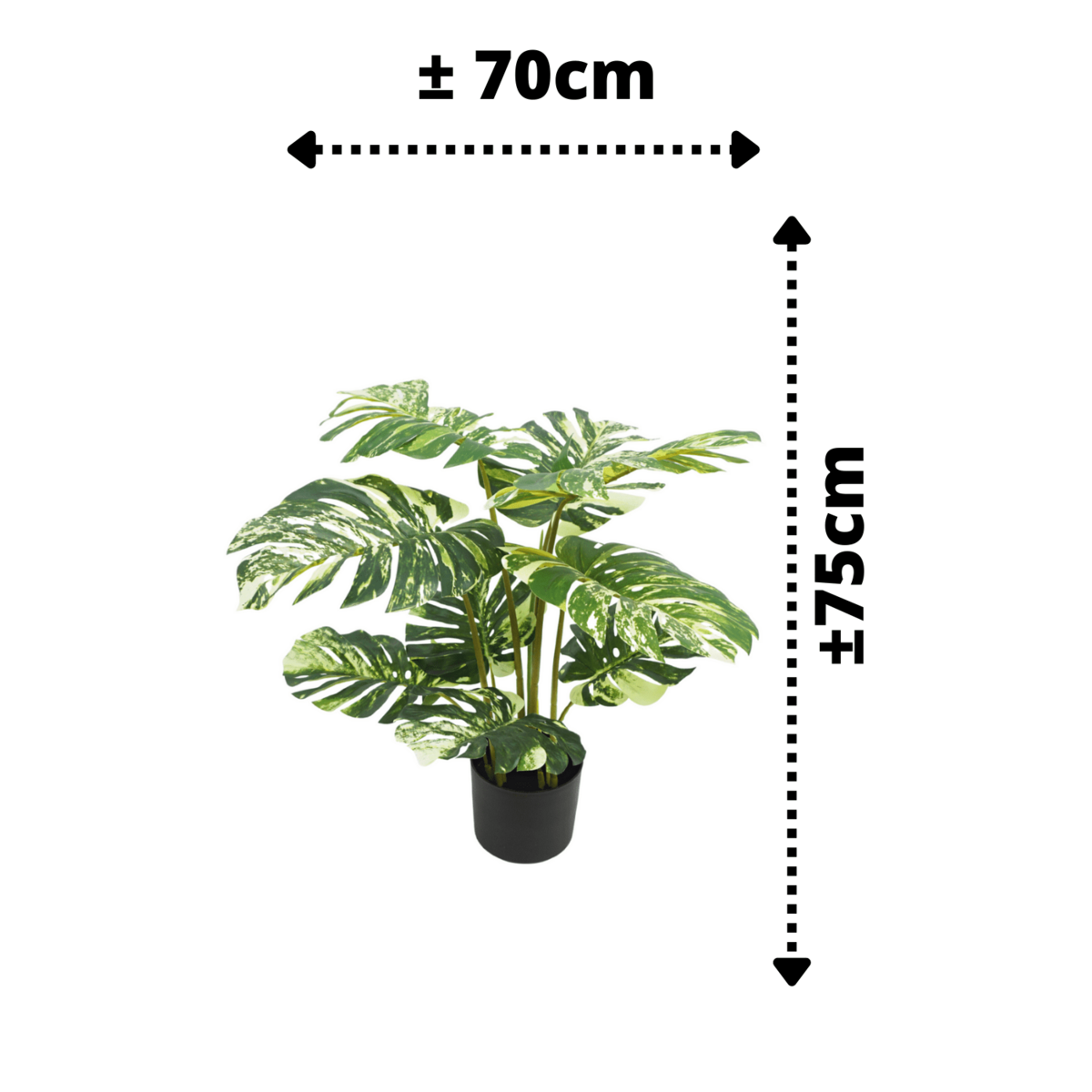 Monstera Artificial plant 75cm