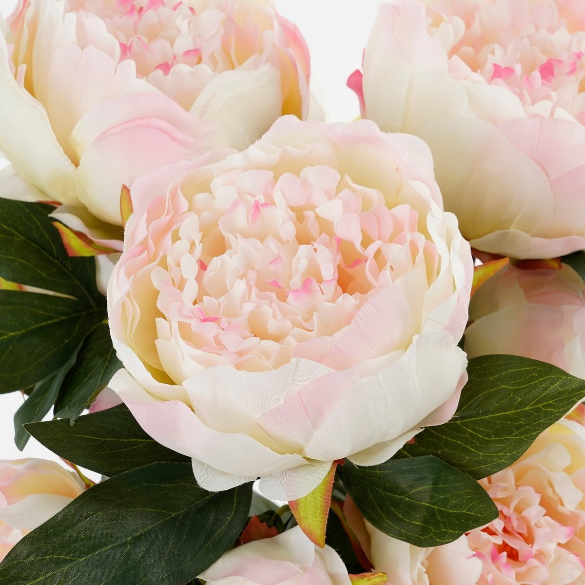 Bouquet of Peony Light Pink