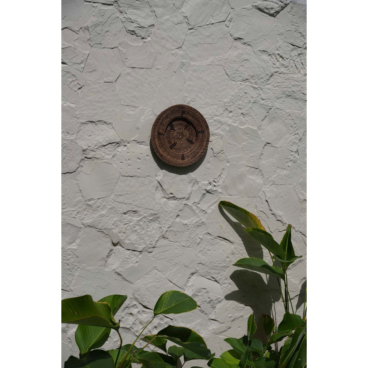 The Jasmine Plate - Brown - S