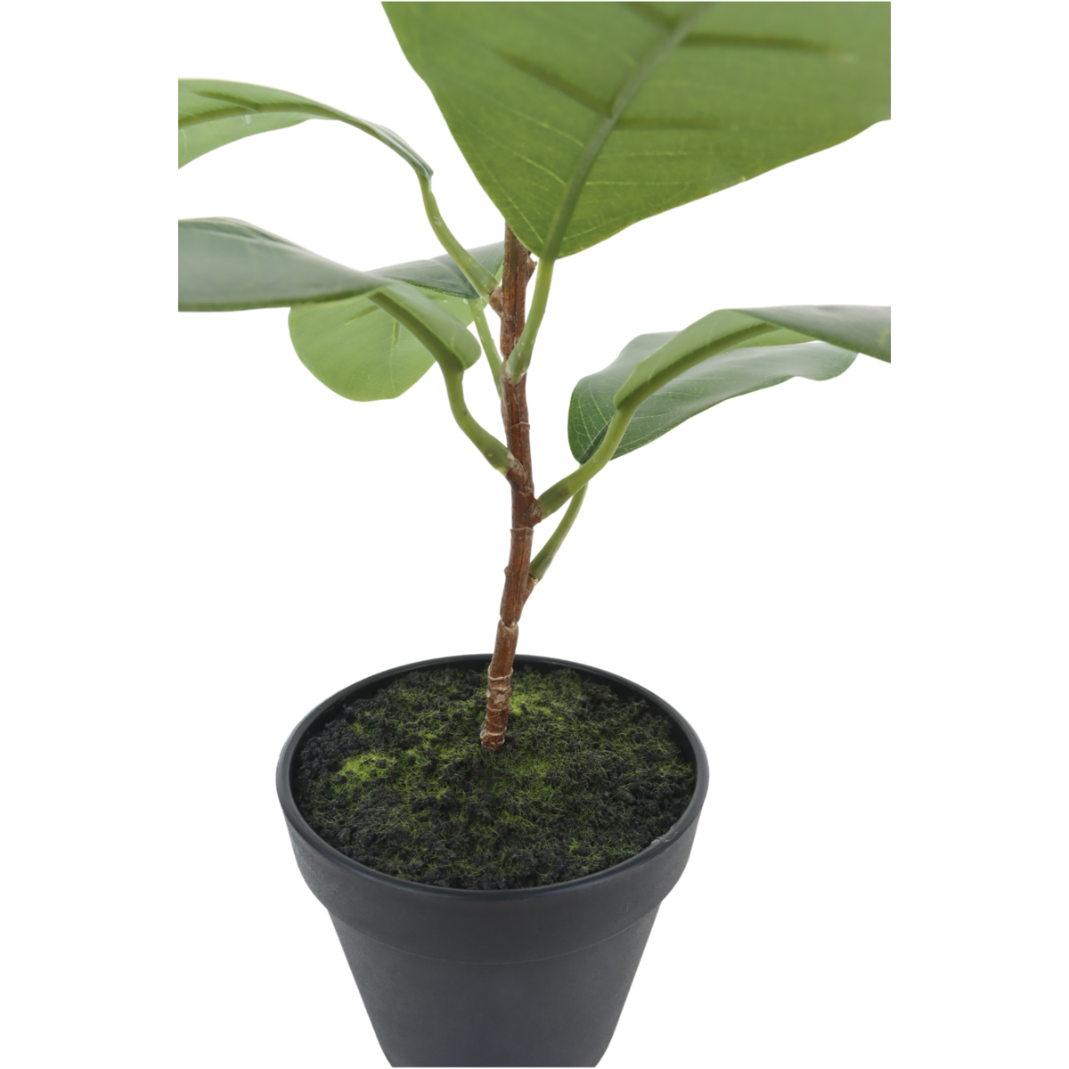 Ficus Artificial plant 35cm