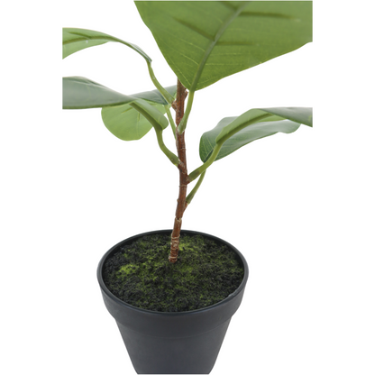 Ficus Artificial plant 35cm