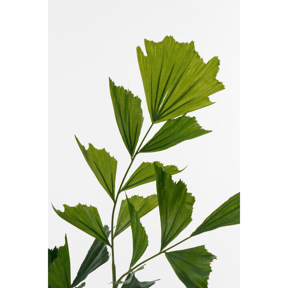 Artificial Plant Fishtail Green