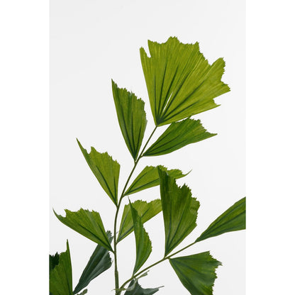 Artificial Plant Fishtail Green