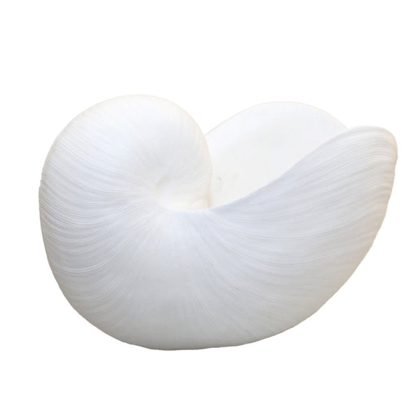 White shell Decorative 29x16.5x20.5cm