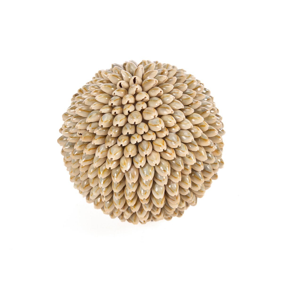 The Oluolu Shell Ball - L