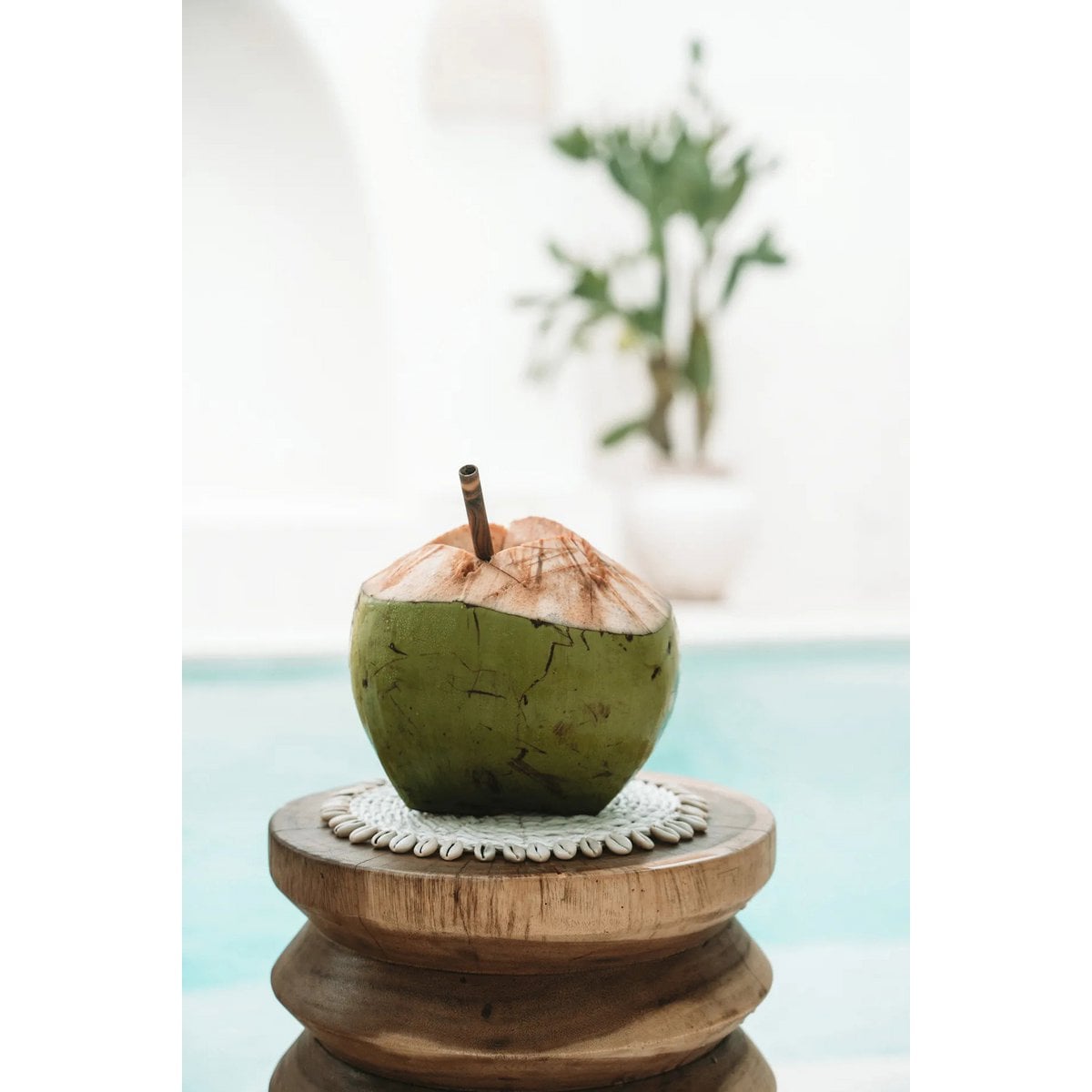 The Seagrass Shell Pan Coaster - White