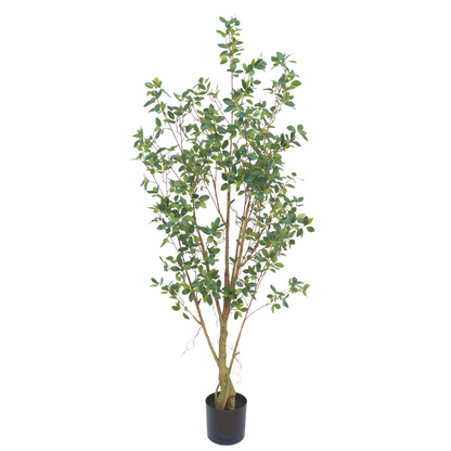 Ficus Artificial plant 180cm