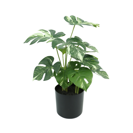 Monstera Artificial plant 40cm