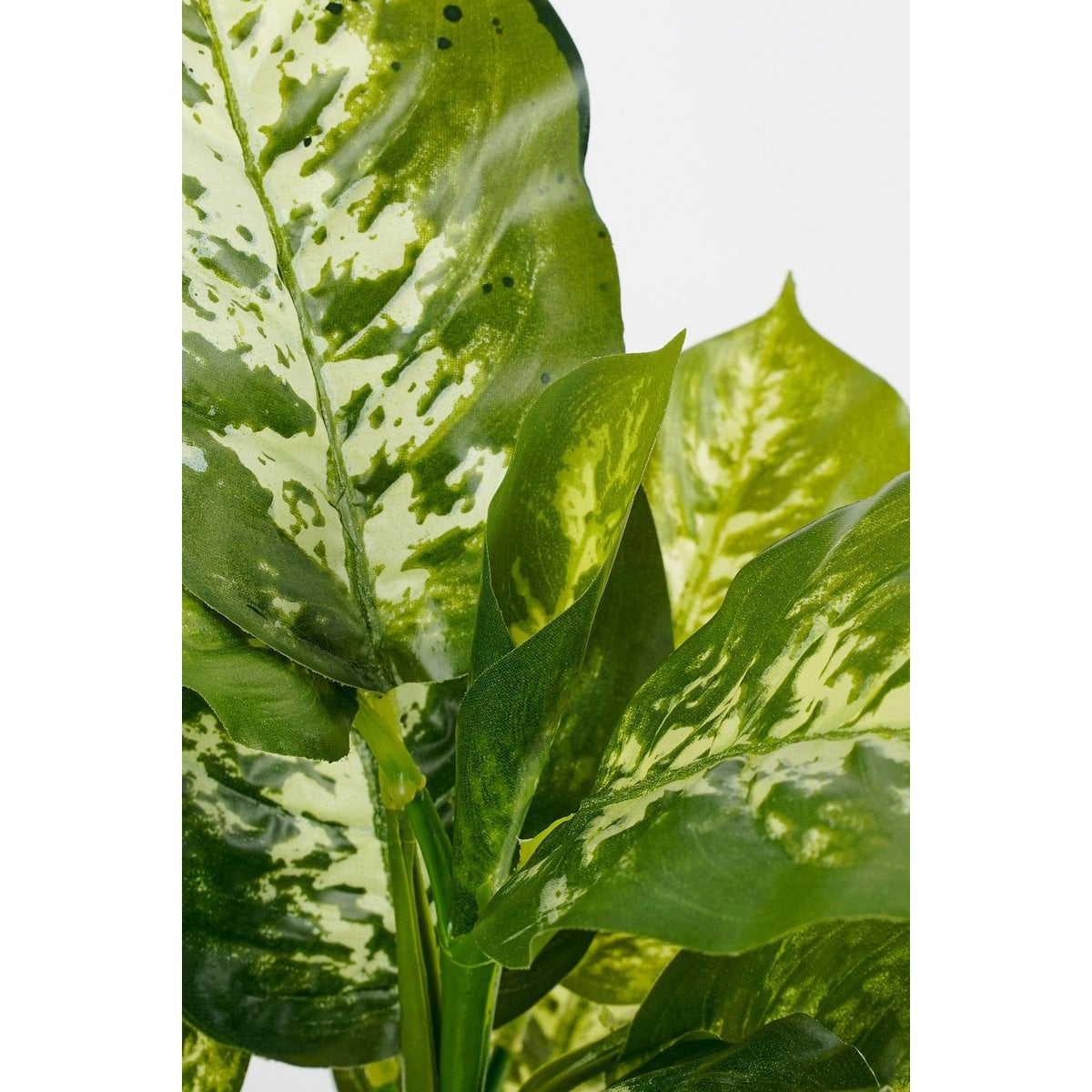 Artificial plant Dieffenbachia Green